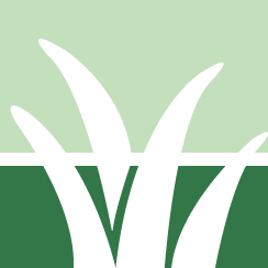 MW Lawn Care