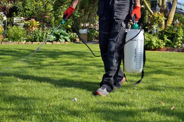 Grow your Lawn Care Services business