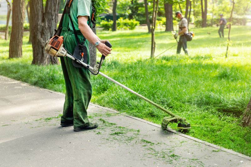 Lawn Care Services