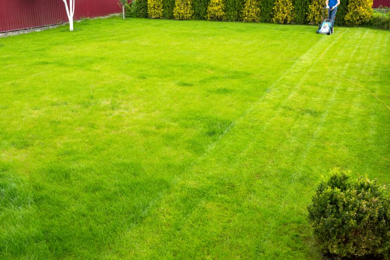 lawn care services