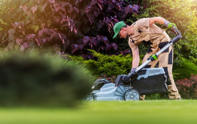 lawn care services