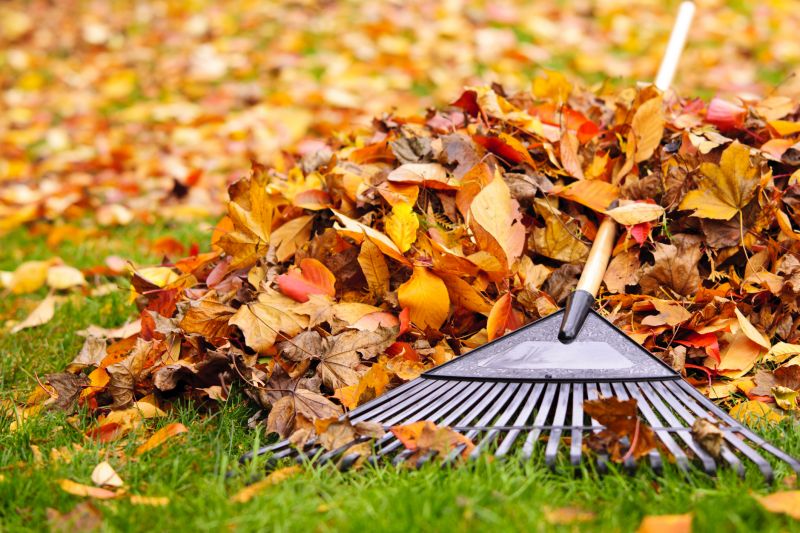 Autumn Yard Preparation