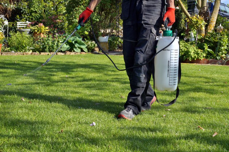 Summer Lawn Maintenance