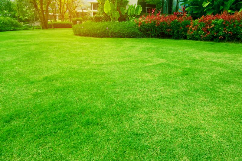 Healthy, Green Lawn