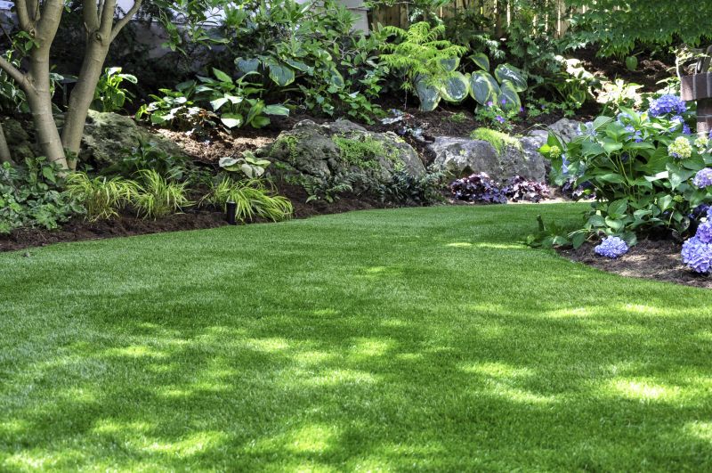 Healthy Lawn Results